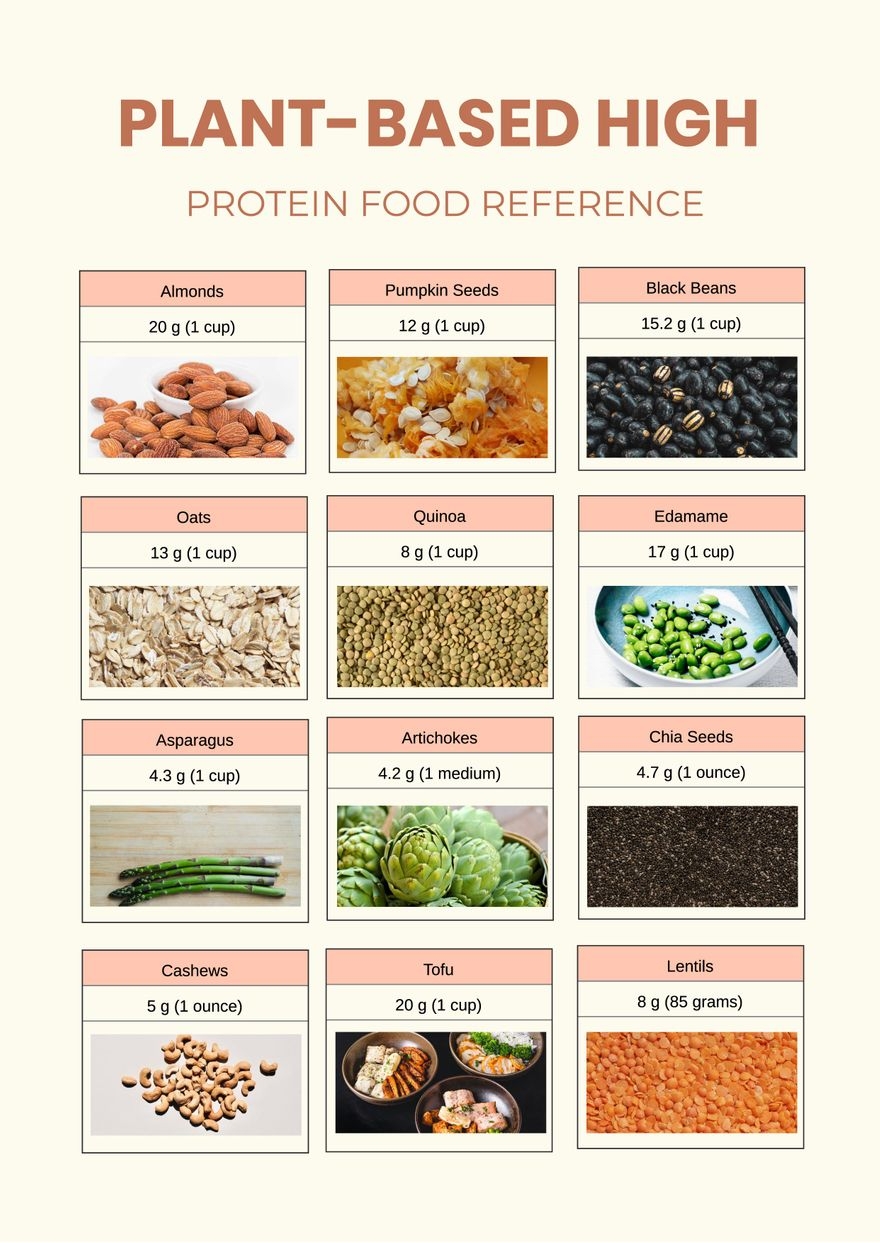 Plant based high Protein Foods Reference Chart In Illustrator PDF Download Template