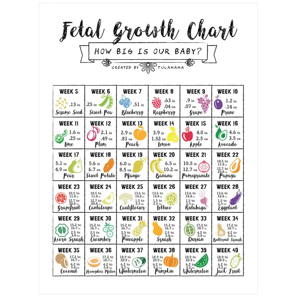 Pregnant Belly Progression Chart To Help You Track Your Pregnancy Tulamama Pregnant Belly Progression Chart To Help You Track Your Pregnancy Tulamama