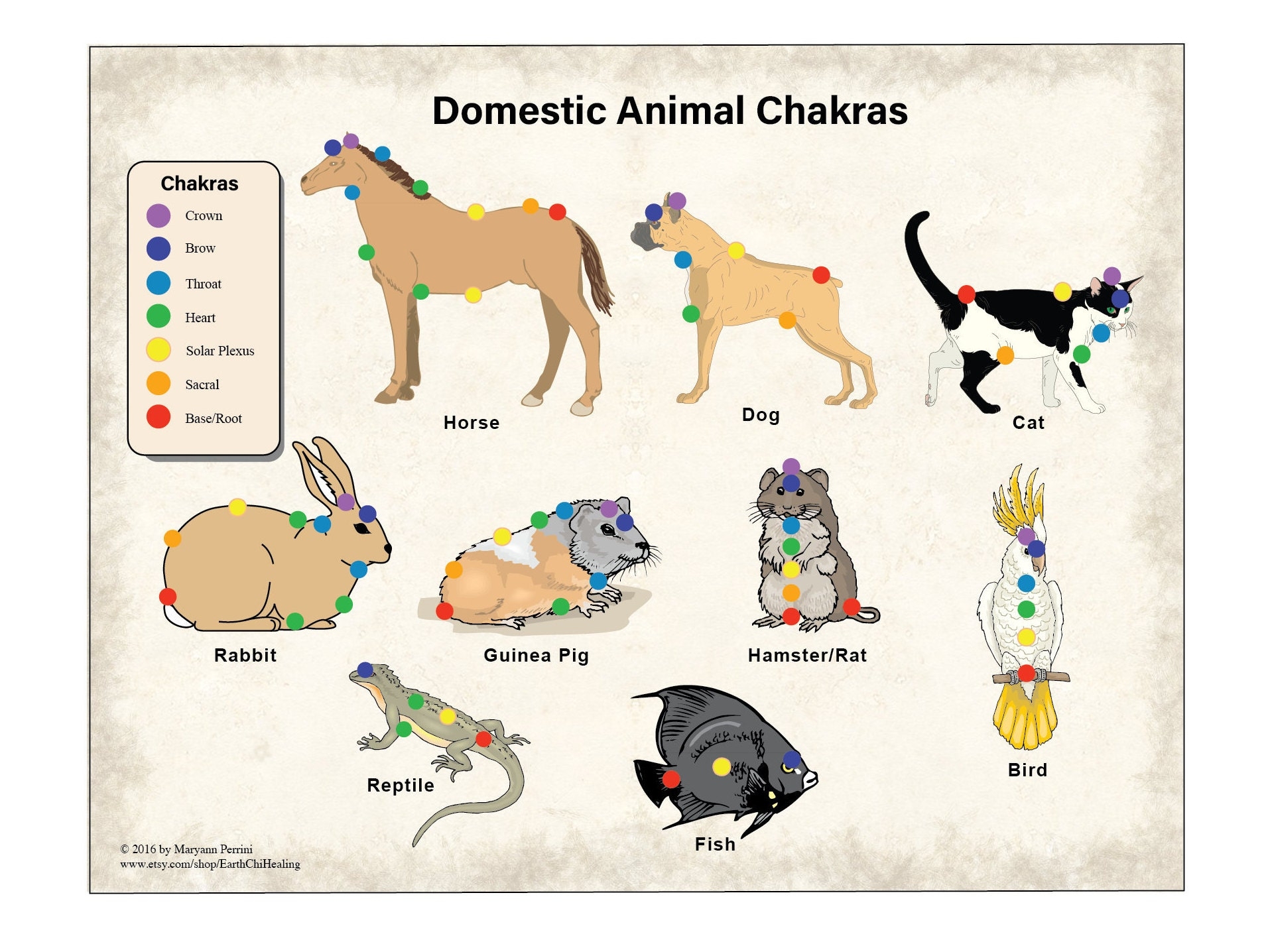 Printable Dog Chakra Chart Printable Dog Chakra Chart