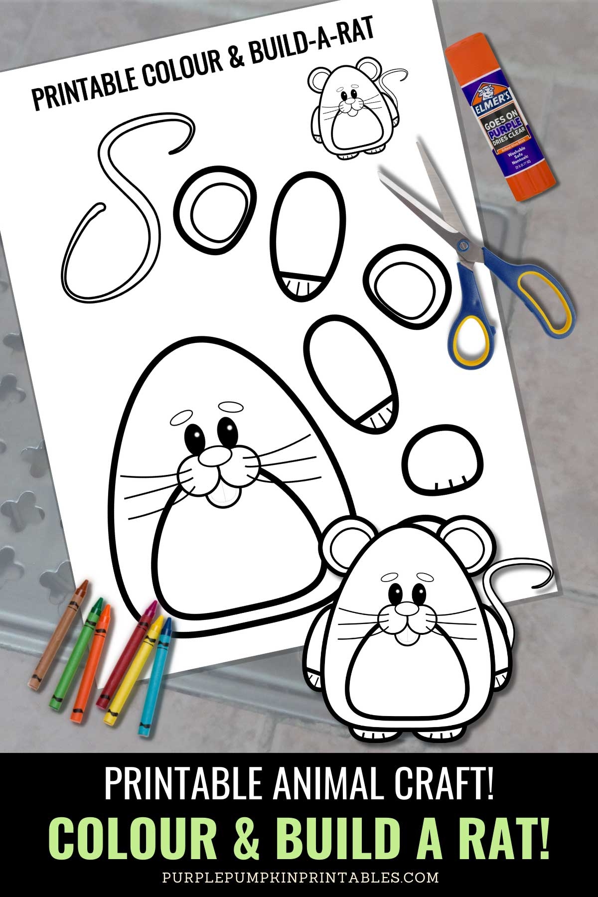 Printable Color U0026 Build A Rat