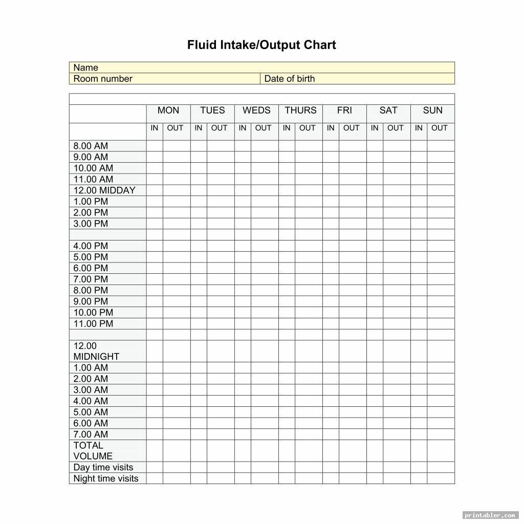 Printable Fluid Intake Chart Template