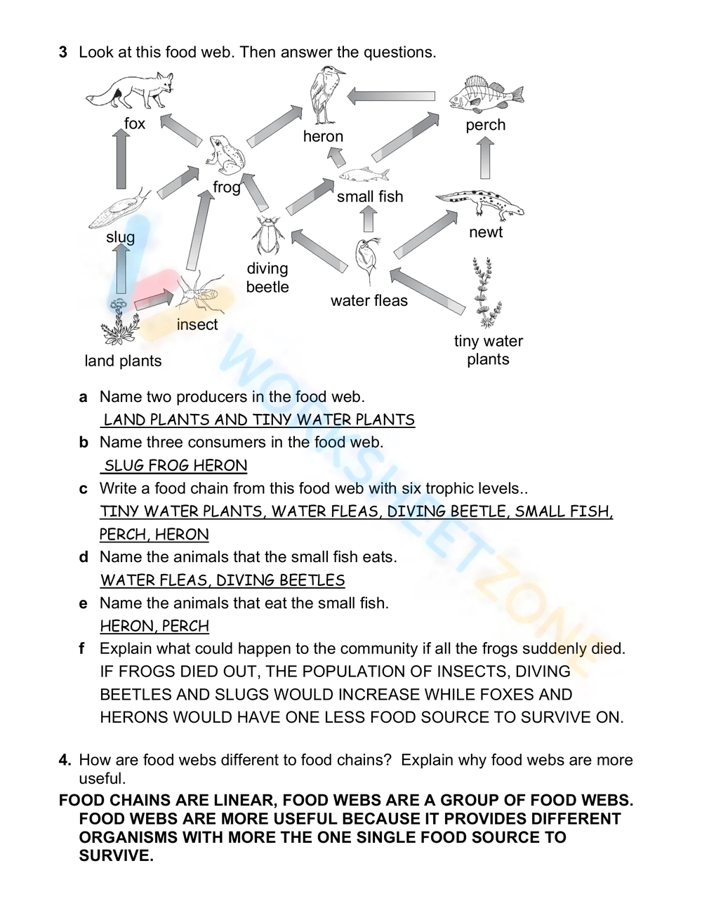 Printable Food Webs And Food Chains Worksheets