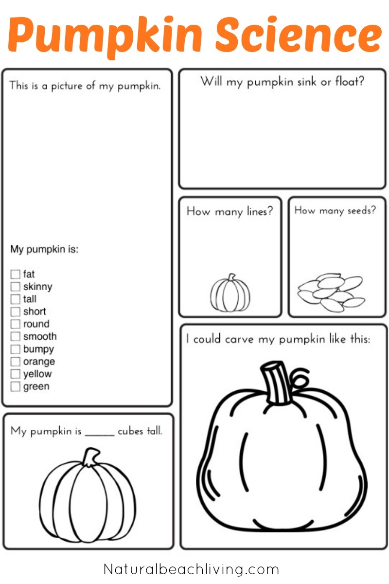 Free Printable Pumpkin Worksheets Free Printable Pumpkin Worksheets