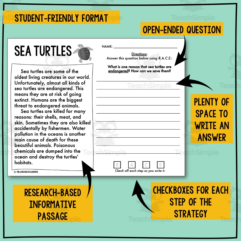 R A C E Strategy Practice Animals Worksheets By Teach Simple