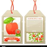 Sale Tag Of Seedlings Apple Trees Instructions For Planting Tree Stock Vector Image U0026 Art Alamy
