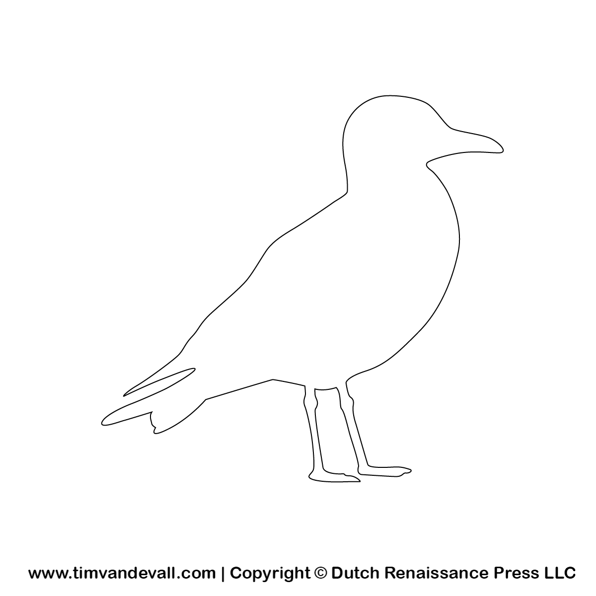 Seagull outline Tim s Printables Seagull outline Tim s Printables