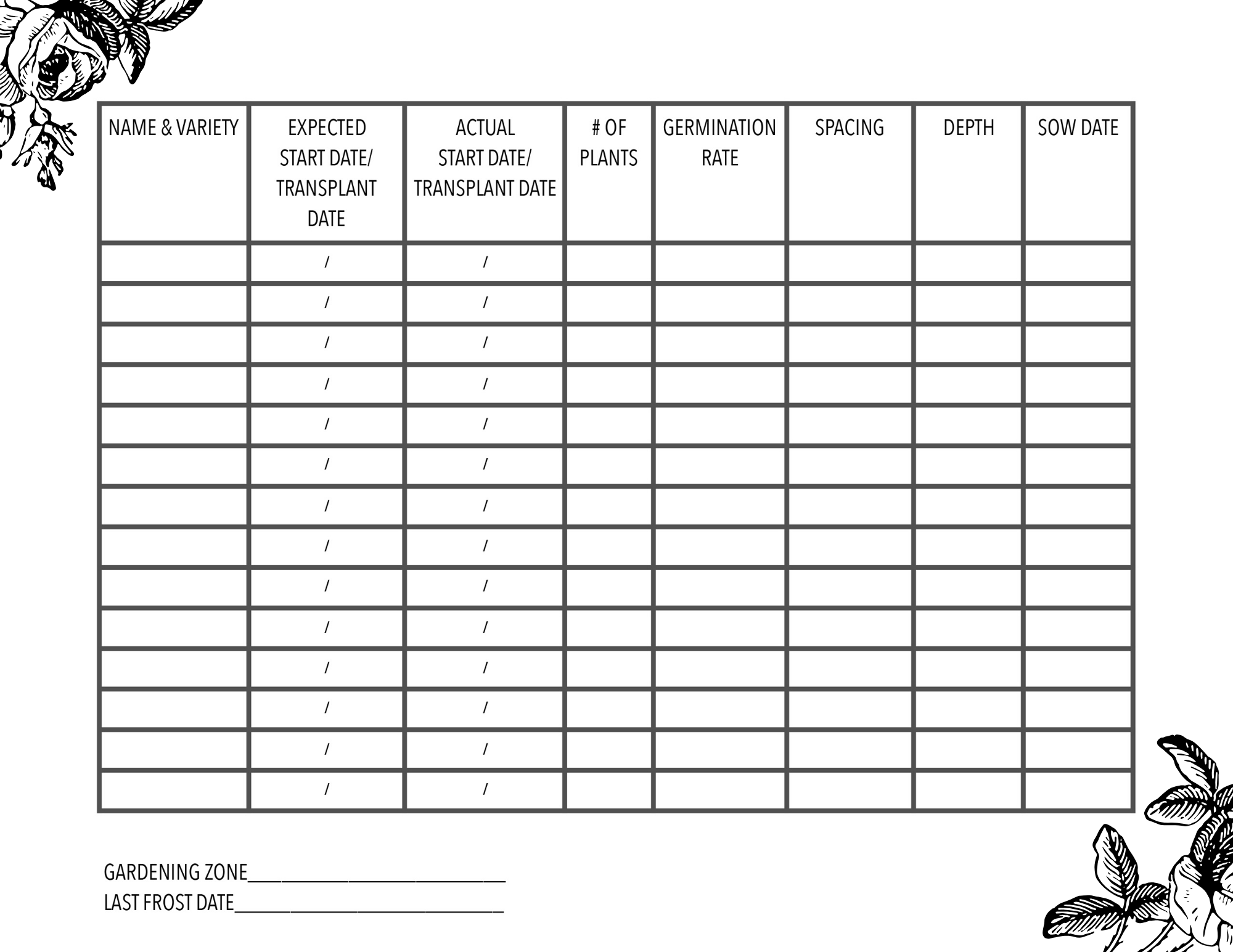 Seed Starting Tips And Tricks