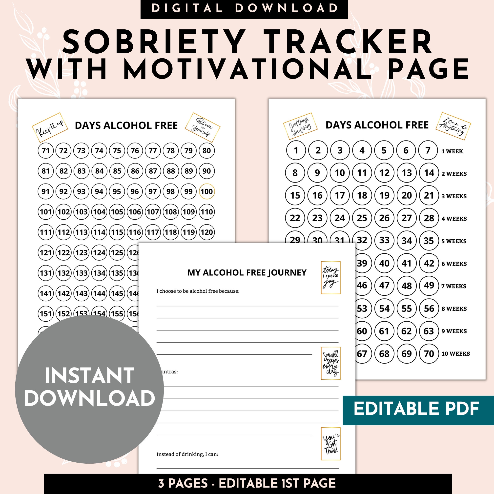 Sobriety Tracker Printable Sheets Motivational Page Etsy Denmark