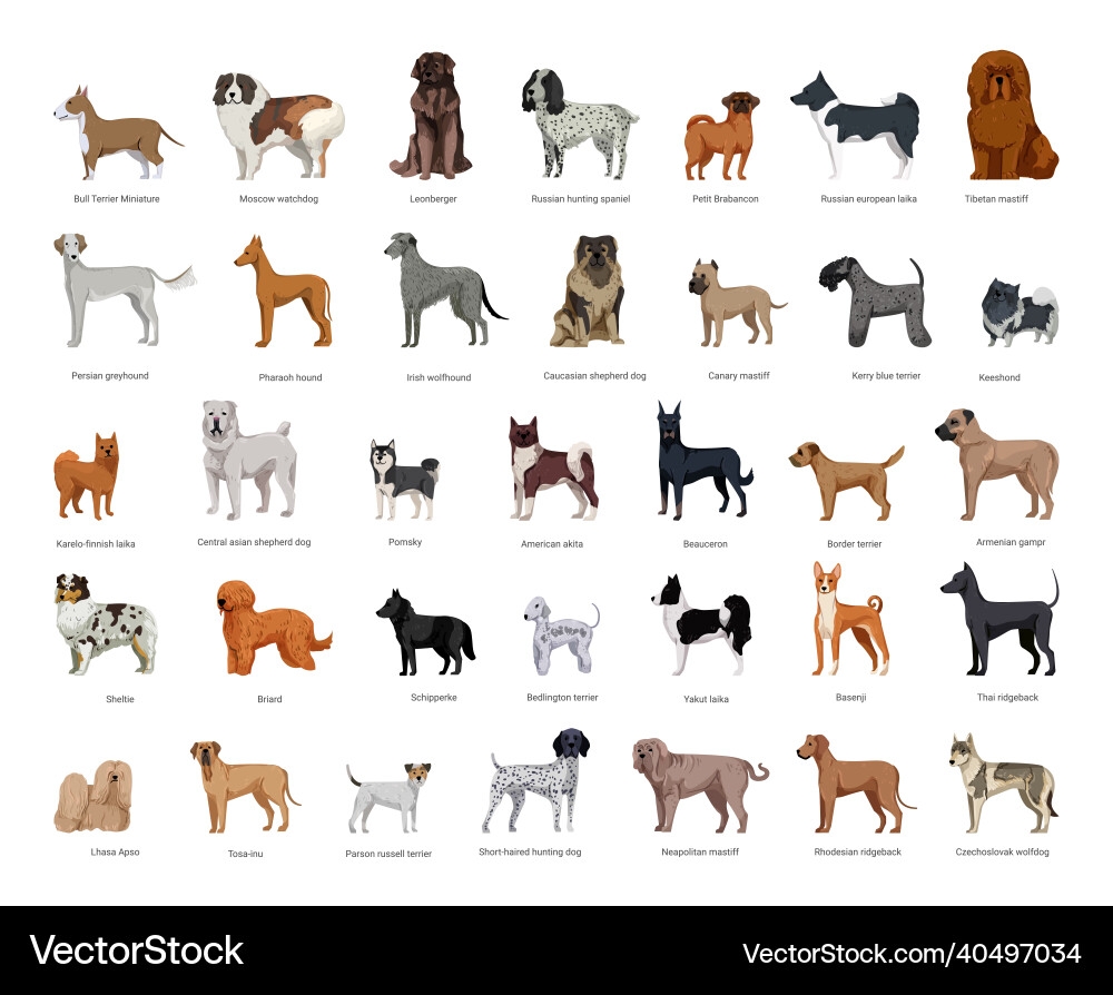 Printable Dog Breed Chart Printable Dog Breed Chart