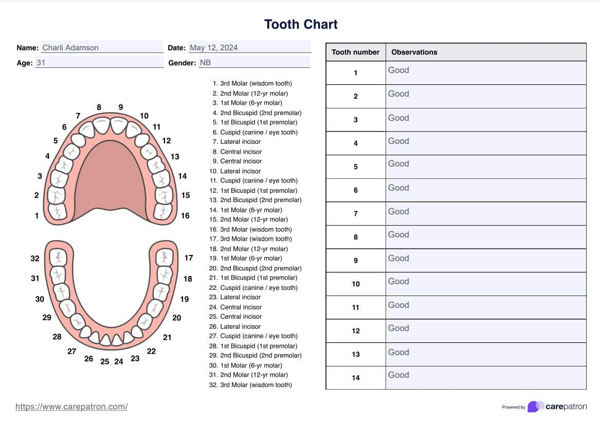 Printable Primary Tooth Chart