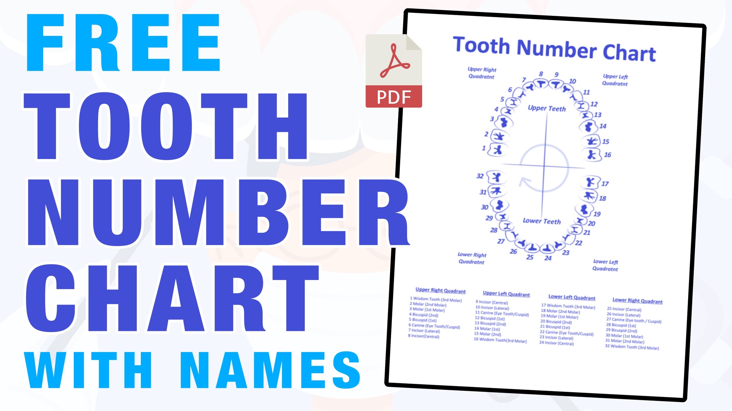 Printable Tooth Surface Chart