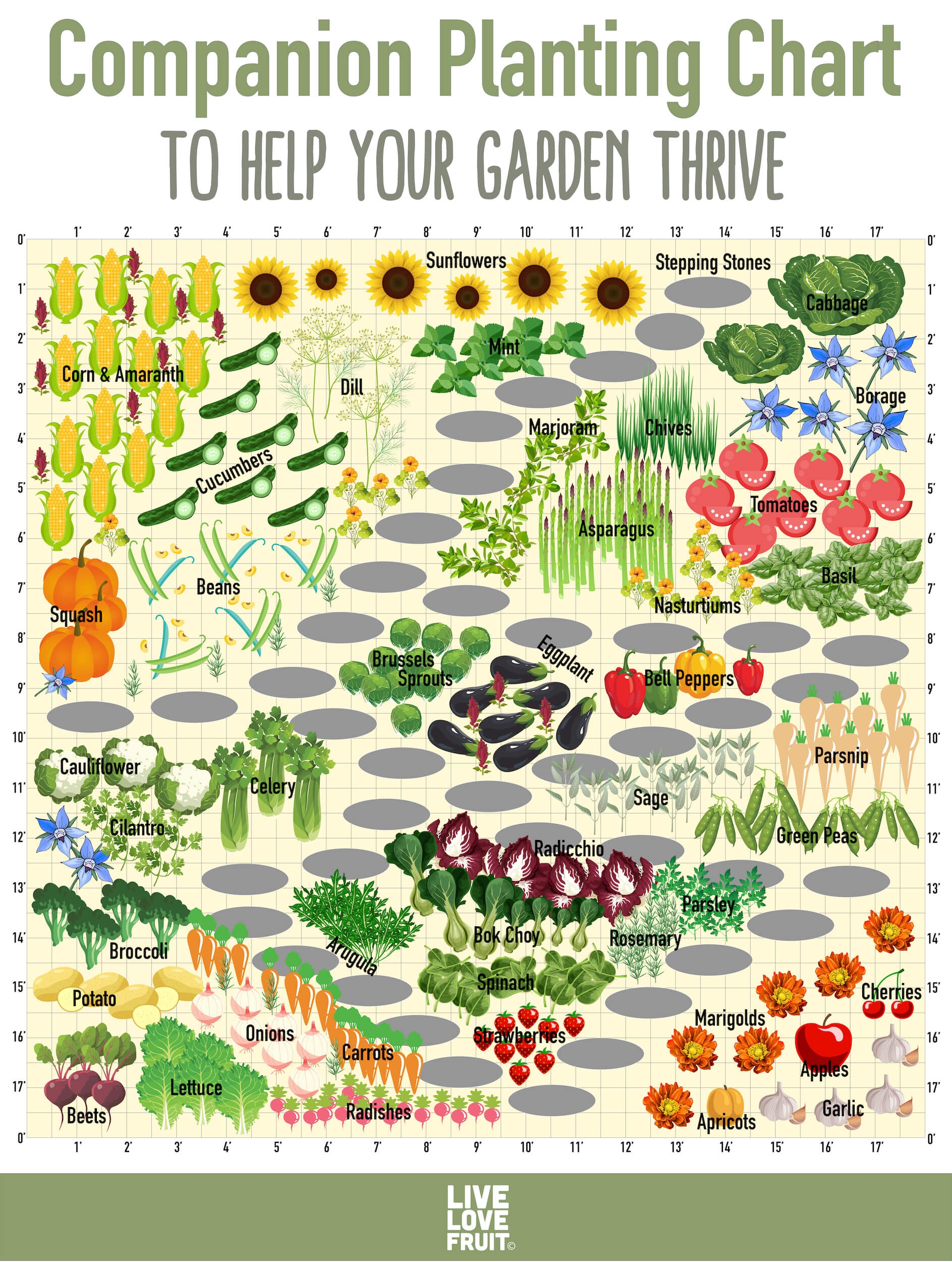 Use This Companion Planting Chart To Help Your Garden Thrive Live Love Fruit