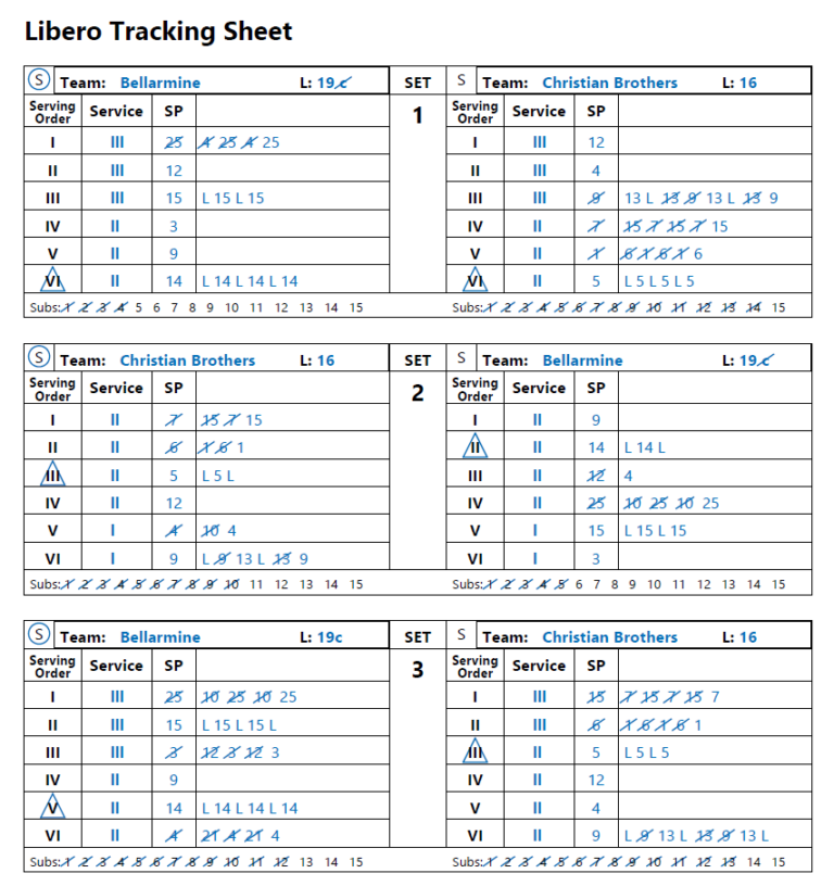 VolleyWrite Volleyball SK LT