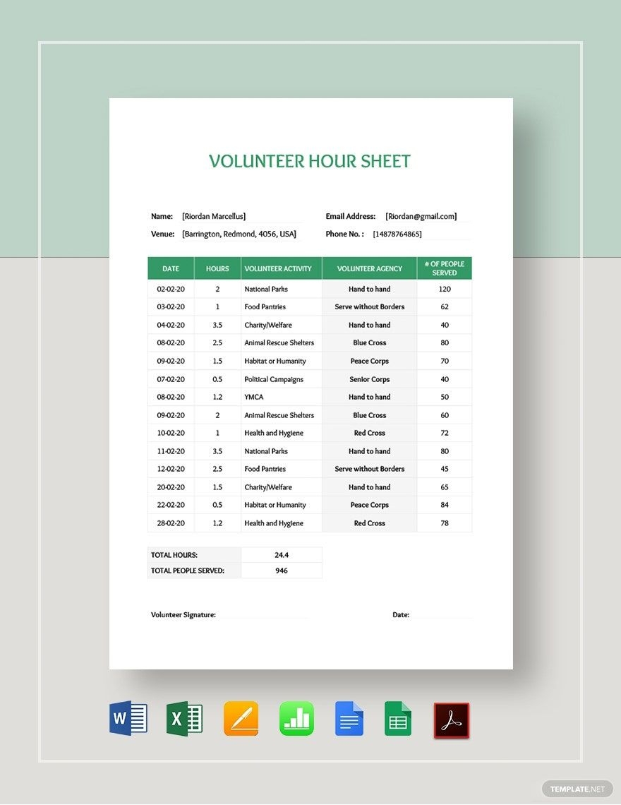 Volunteer Hours Sheet Template In Google Sheets Word Pages Apple Numbers Excel Google Docs PDF Download Template