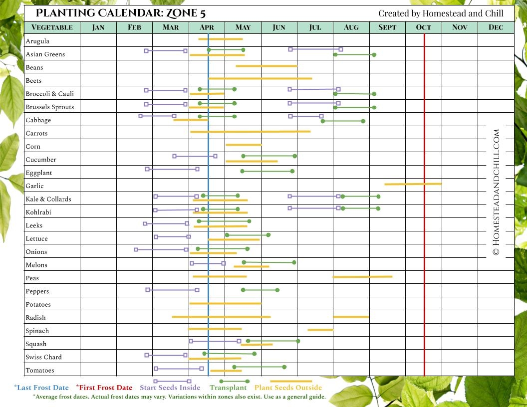 When To Start Seeds Indoors Planting Calendars For Every Zone Homestead And Chill