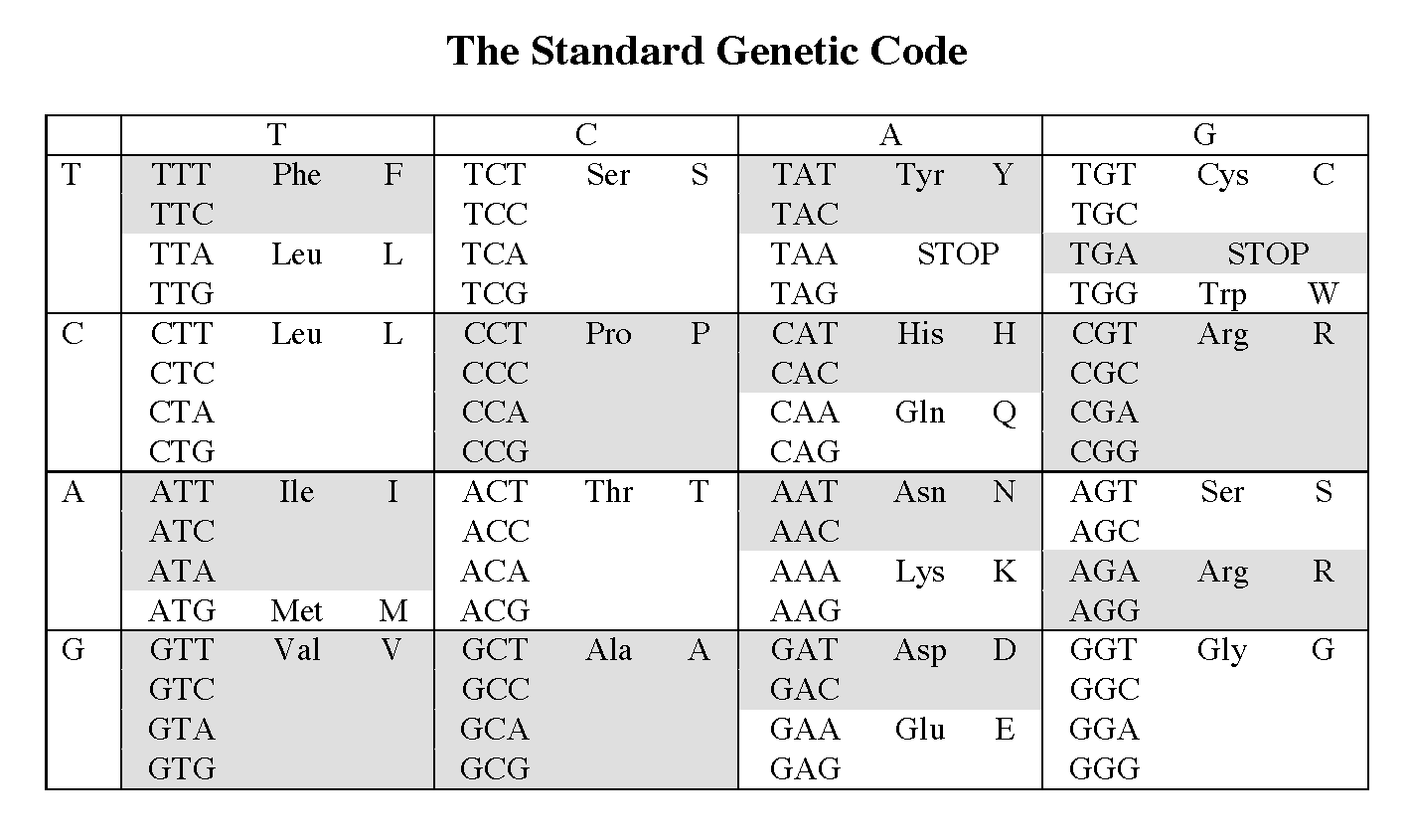 Genetic Code Chart Printable