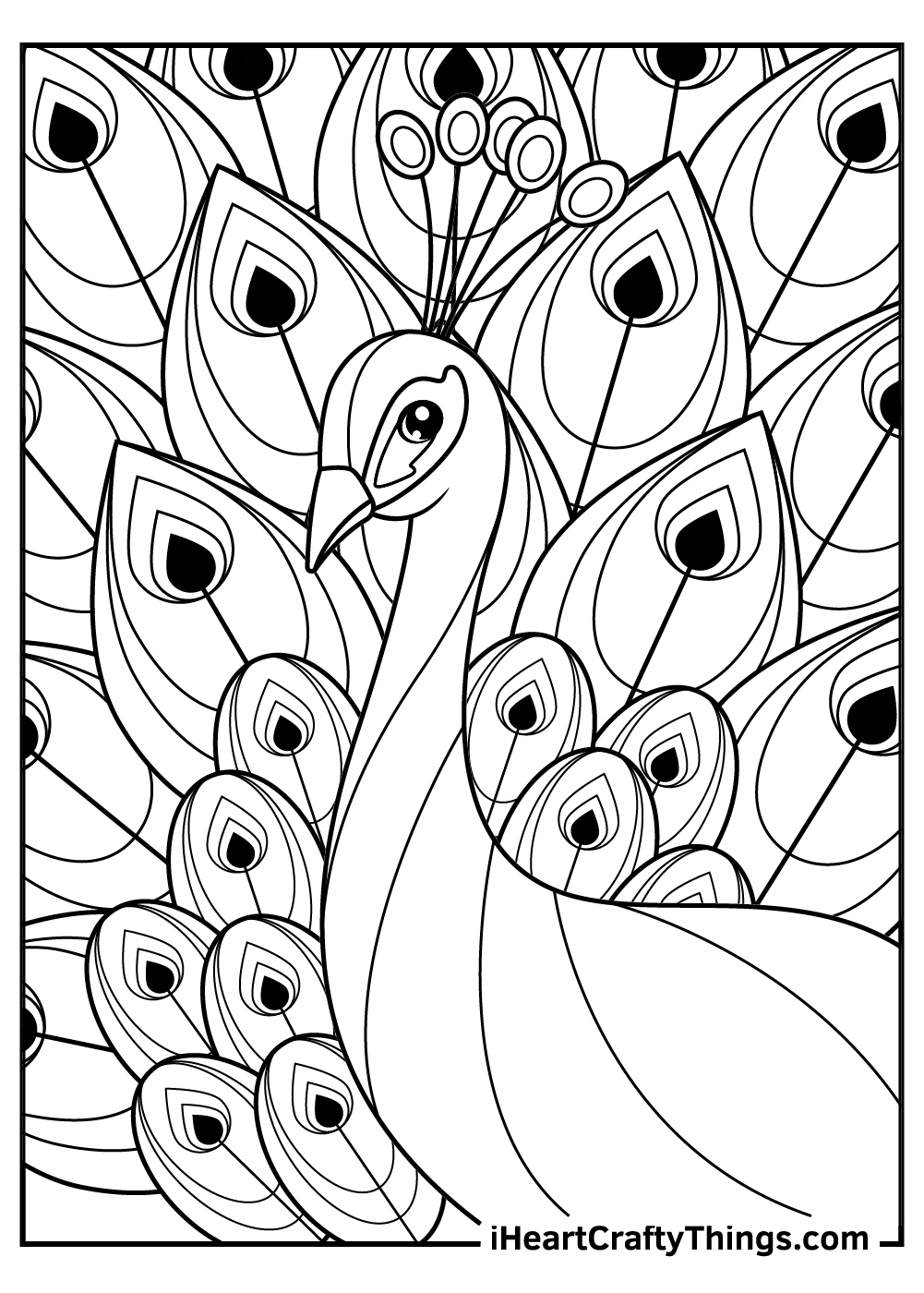 15 Peacock Coloring Pages 100 Free Printables