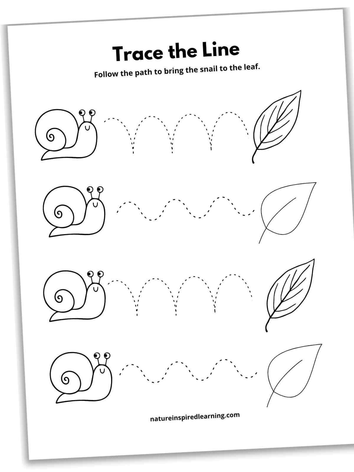 17 Line Tracing Worksheets Free Nature Inspired Learning 17 Line Tracing Worksheets Free Nature Inspired Learning