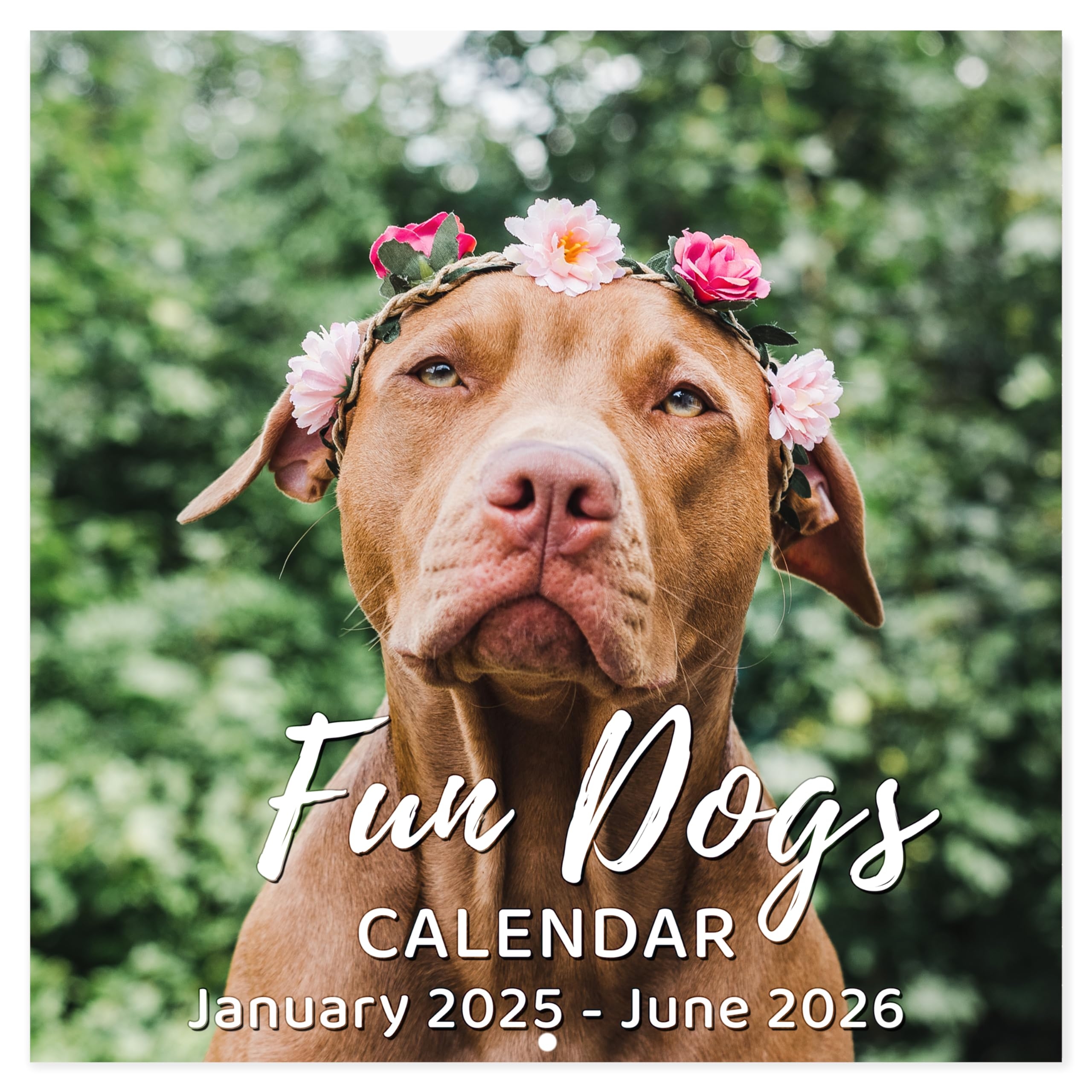June Fun Calendar 2025 June Fun Calendar 2025
