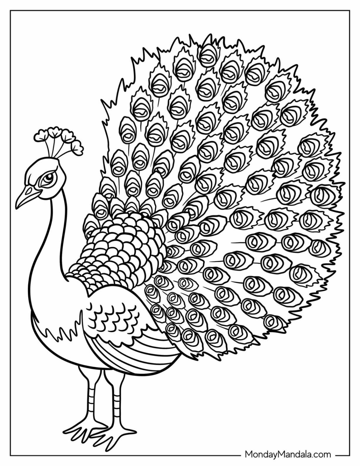 34 Peacock Coloring Pages Free PDF Printables 34 Peacock Coloring Pages Free PDF Printables