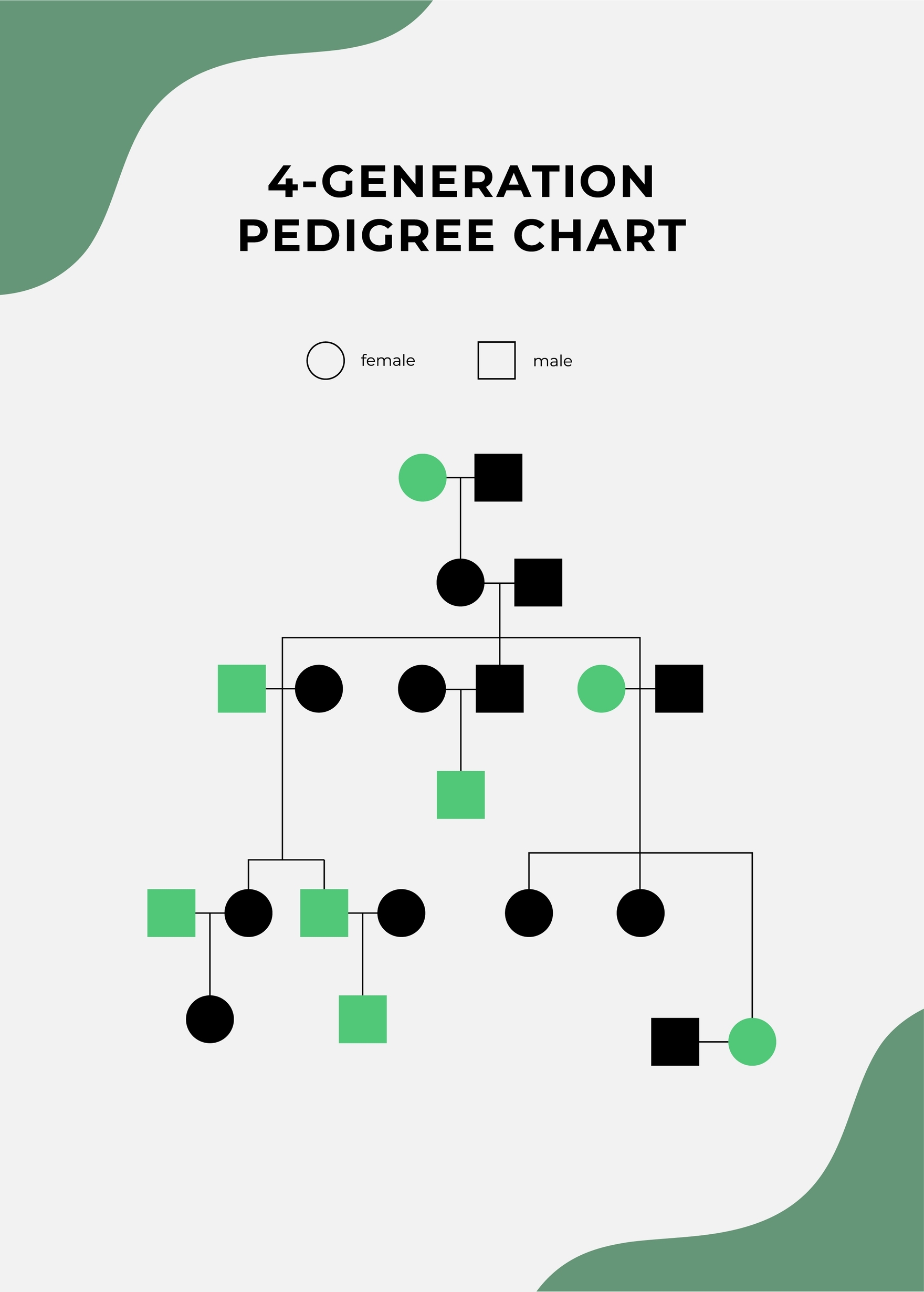 4 Generation Pedigree Chart In Illustrator PDF Download Template
