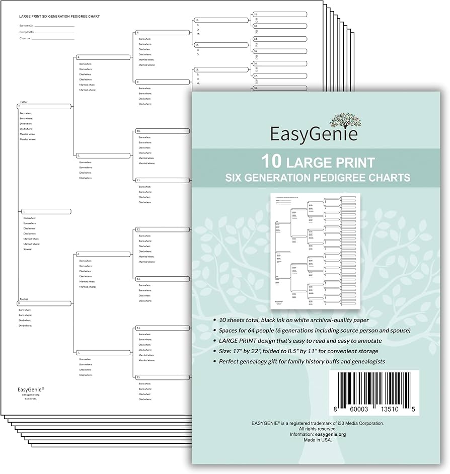Amazon EASYGENIE 10 LARGE PRINT Six Generation Pedigree Charts For Ancestry Archival Quality Genealogy Forms Office Products
