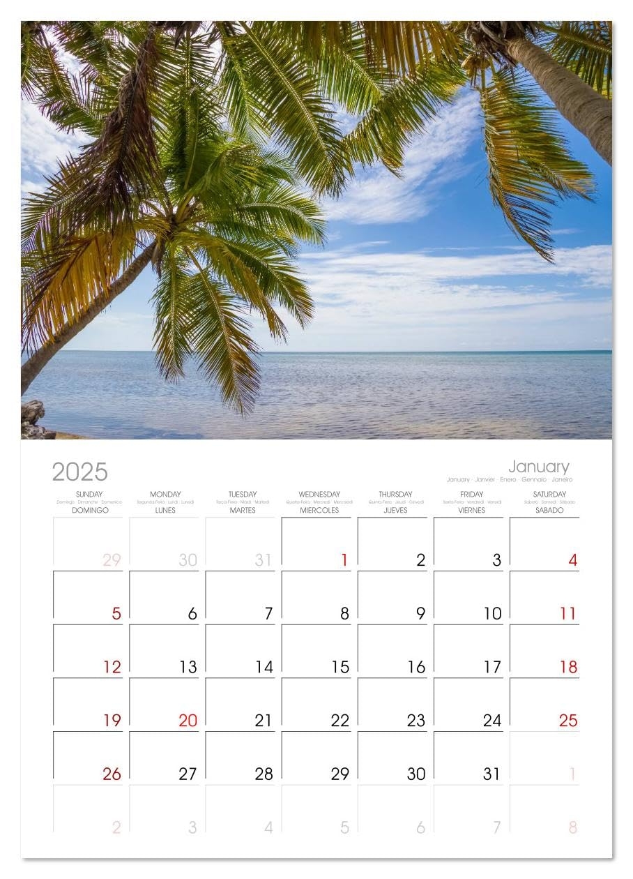 Amazon FLORIDA KEYS AND KEY WEST Picturesque Itinerary Monthly Wall Calendar 2025 16 5