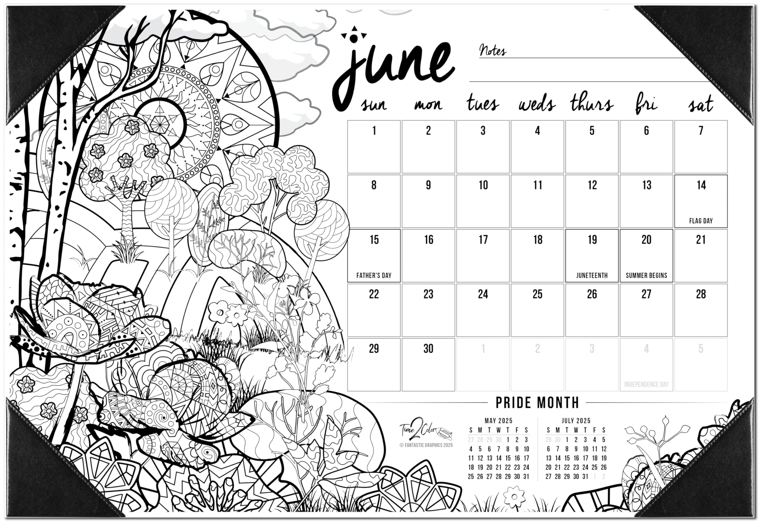 Amazon Time2Color 2025 Home Edition Desk Blotter Coloring Calendar 