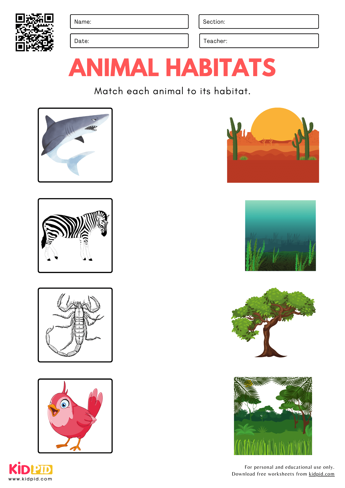 Animal Habitats Matching Worksheet For Kindergarten Kidpid