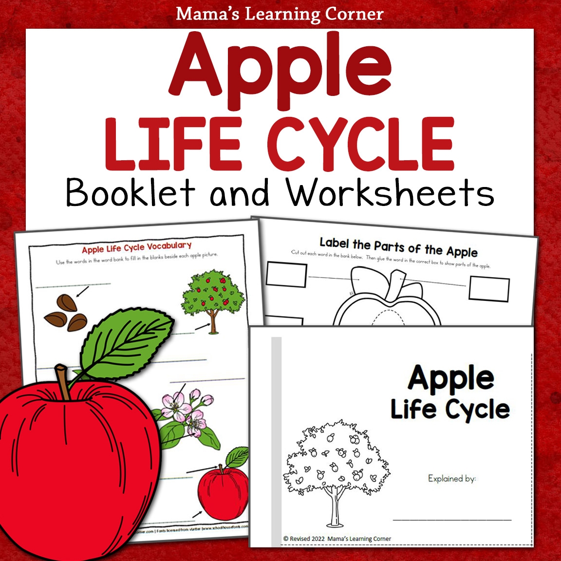 Apple Life Cycle Worksheet Packet