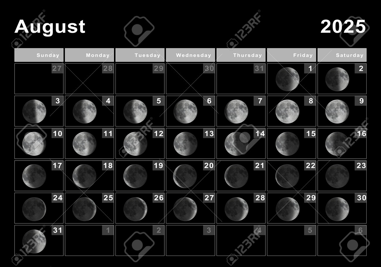 August 2025 Lunar Calendar Moon Cycles Moon Phases Stock Photo Picture And Royalty Free Image Image 192760038 