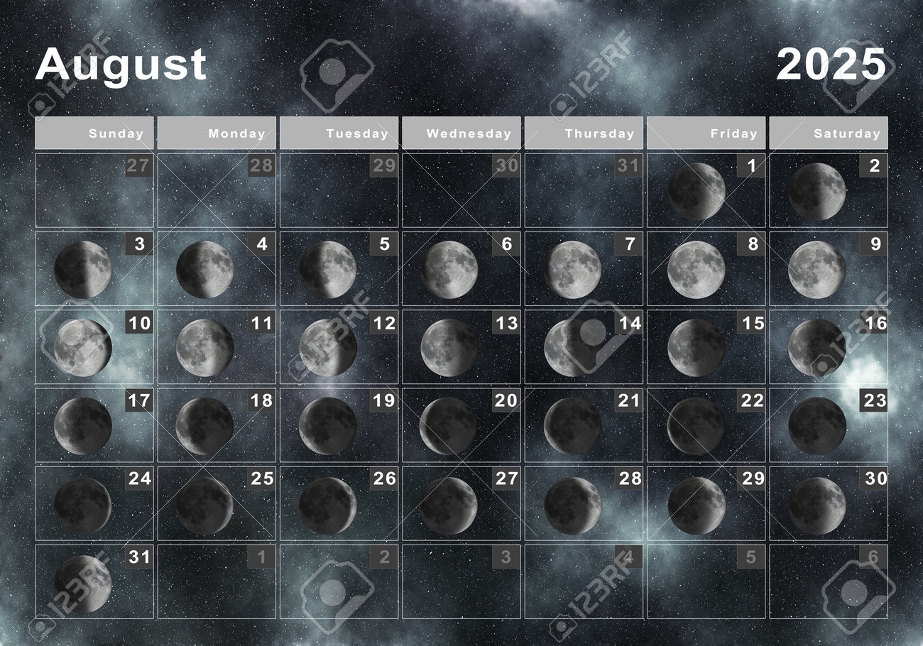 August 2025 Lunar Calendar Moon Cycles Moon Phases Stock Photo Picture And Royalty Free Image Image 193083776 