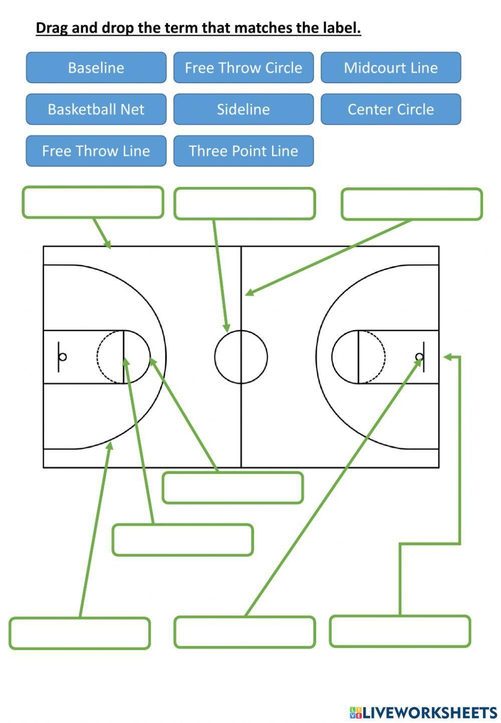 Basketball Label P Worksheet Worksheets Library