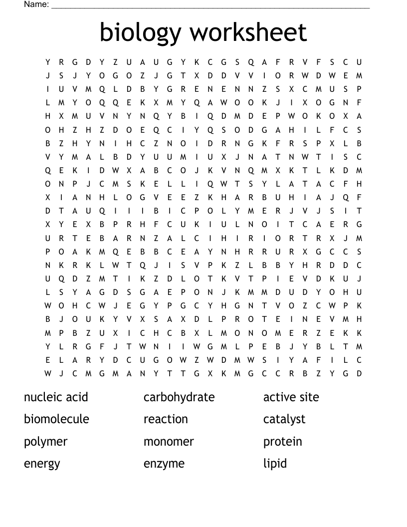 Biology Worksheet Word Search WordMint
