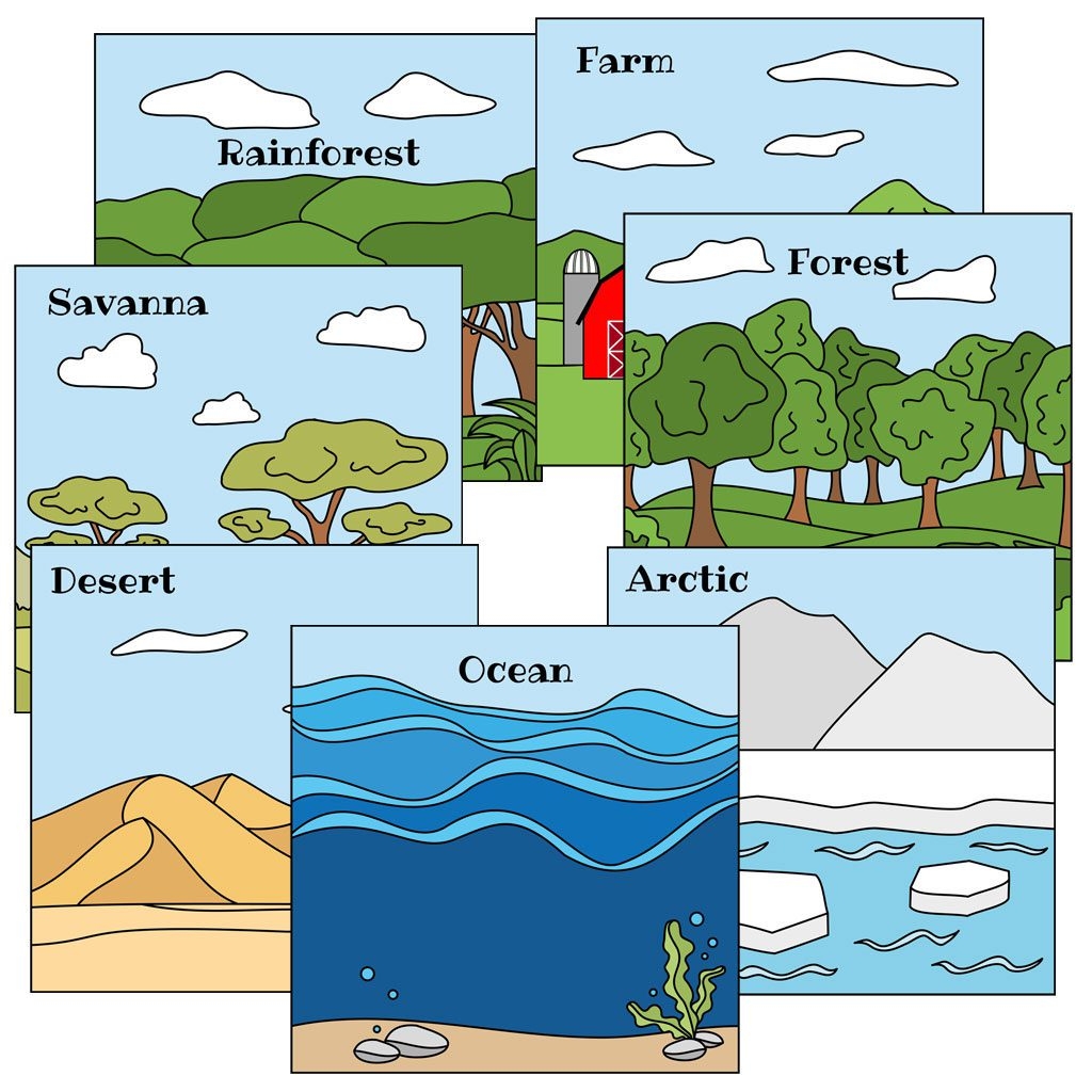 BIOMES 7 Booklets 35 Animals And An Animal Sorting Activity Raising Hooks