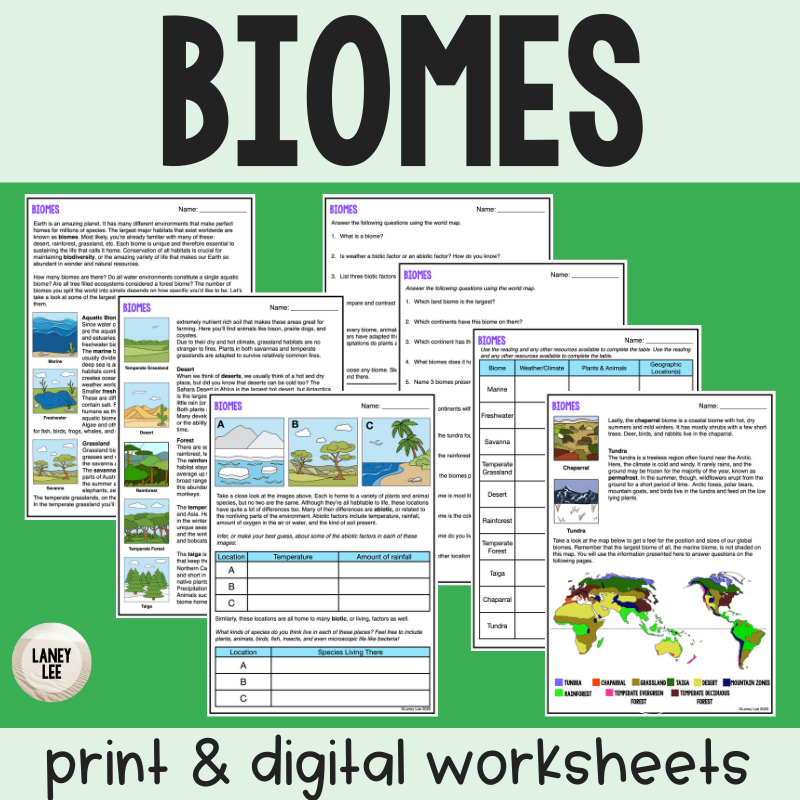 Biomes PDF Worksheet With Answer Key Digital Version