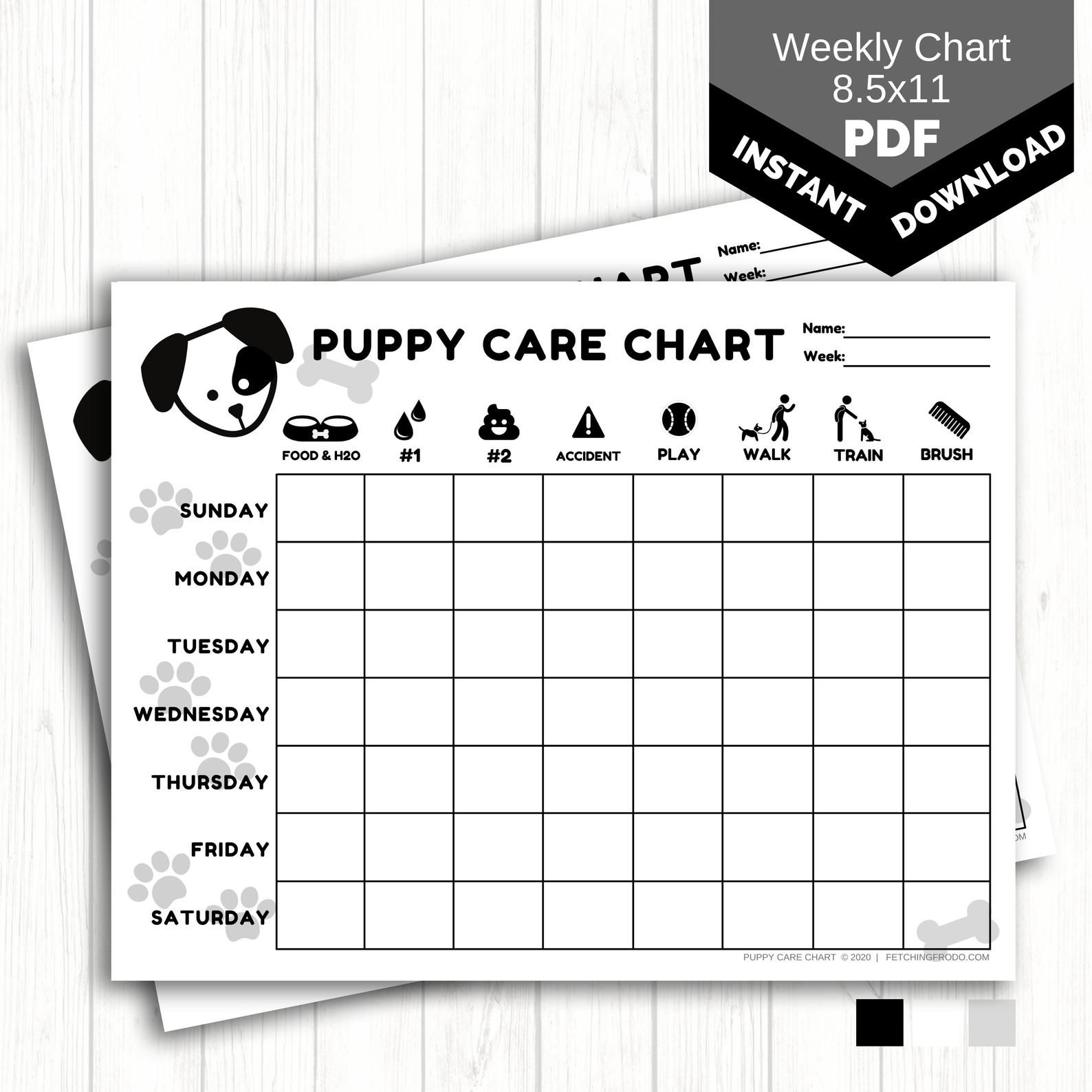 Care Chart Daily Pet Care Weekly Puppy Care Chart PRINTABLE Dog Chore Chart For Kids New