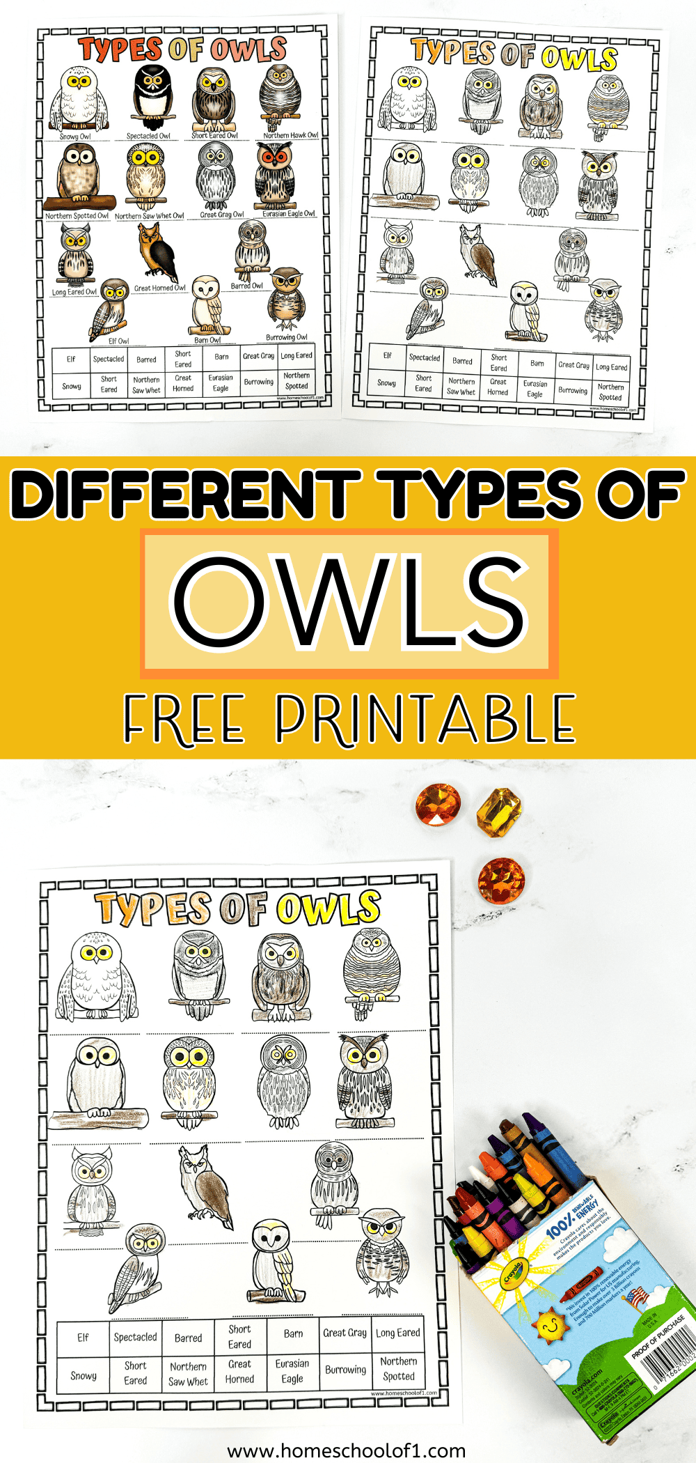 Free Printable Owl Worksheets