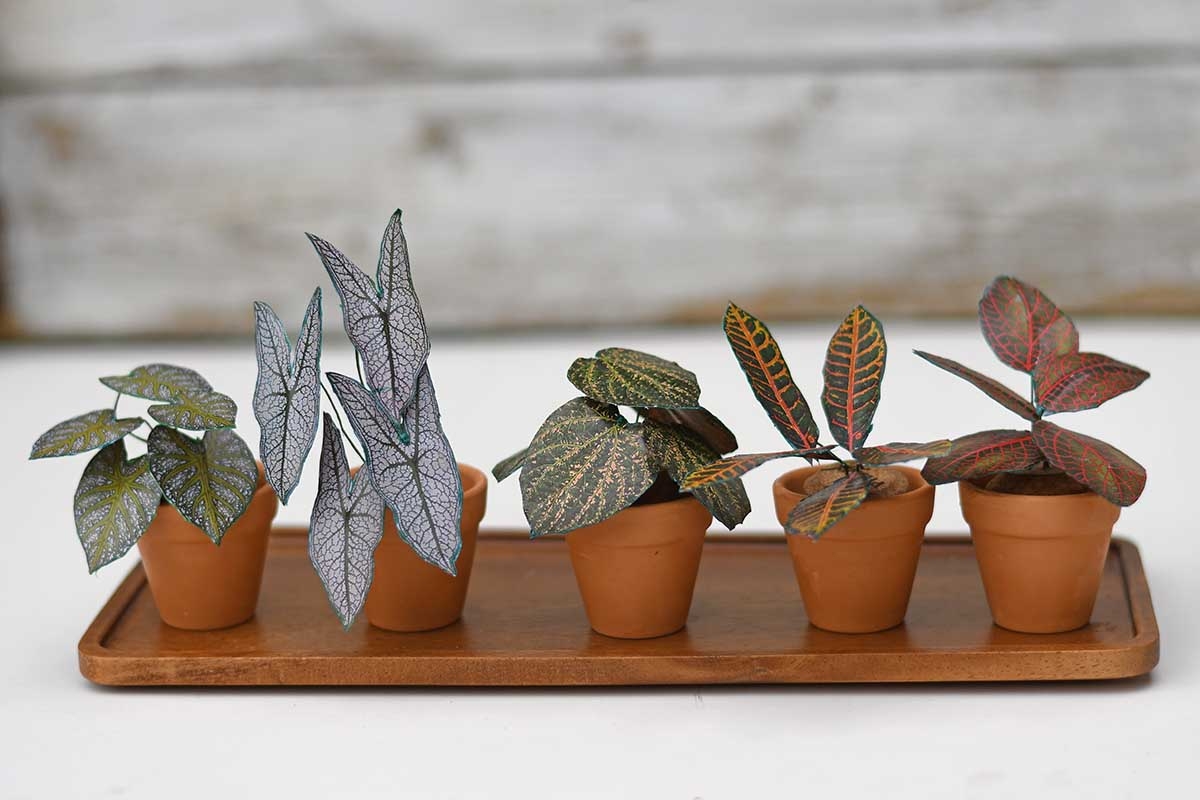 DIY Paper Plants Mini Tropical House Plants With Free Printables Pillar Box Blue