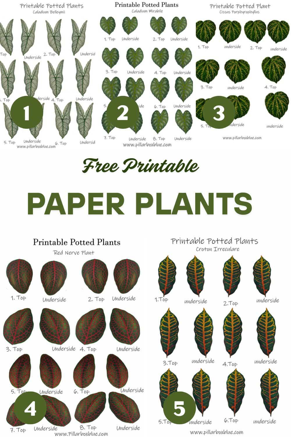 DIY Paper Plants Mini Tropical House Plants With Free Printables Pillar Box Blue