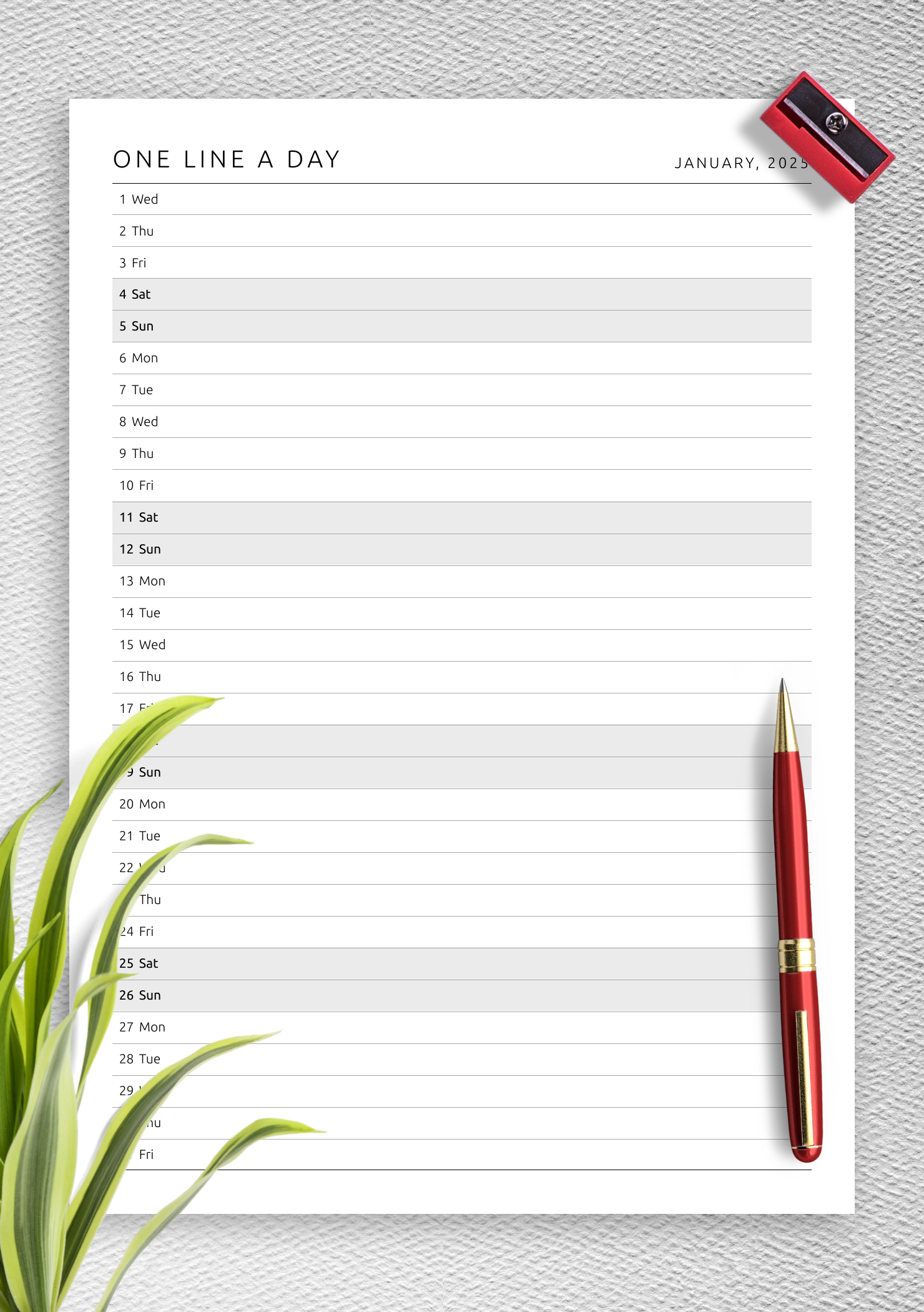 Download Printable One Line A Day Monthly Planner Template PDF