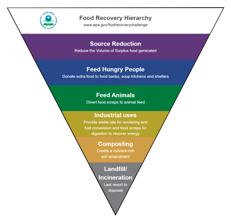 Food Hierarchy Chart EdrawMax Template