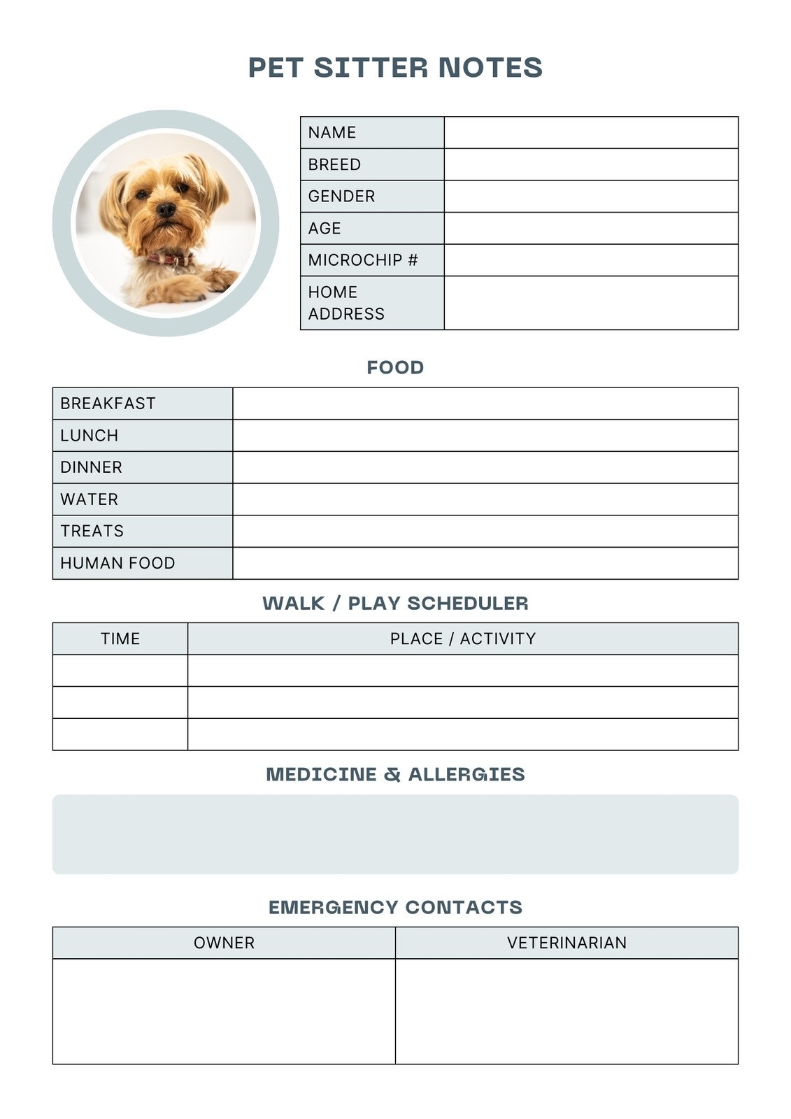 Free And Customizable Pet Templates
