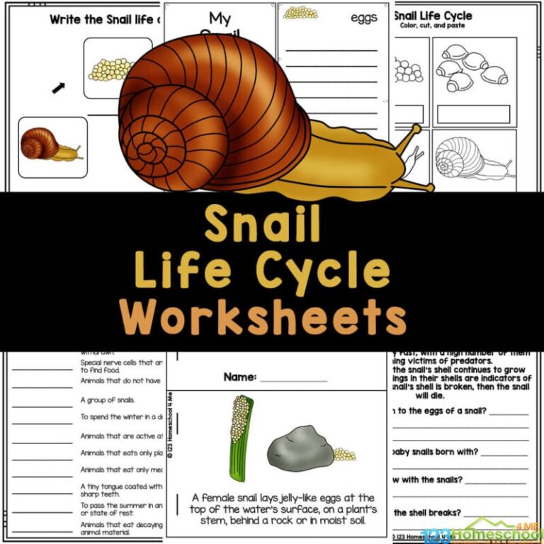 FREE Printable Snail Life Cycle Worksheets For Kids