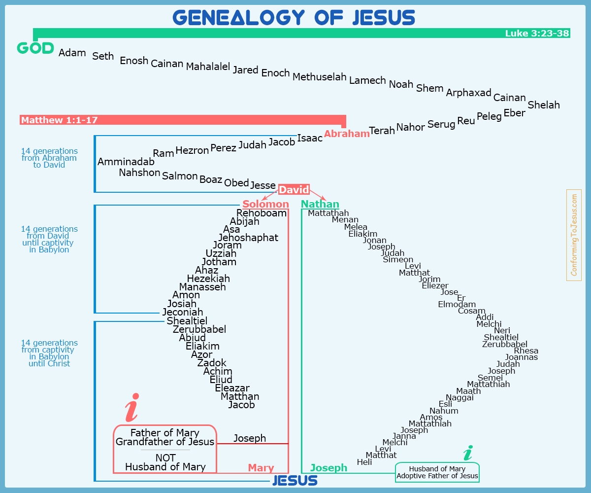 Genealogy Of Jesus Chart Jesus Family Tree Chart