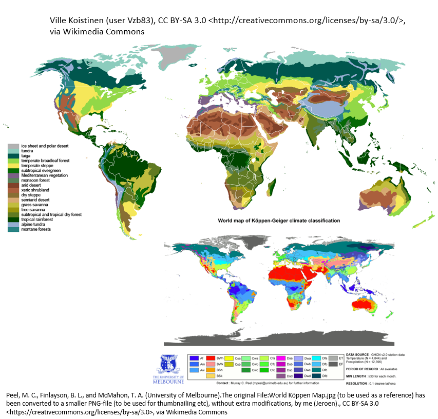 Global Biomes Madeline James Writes