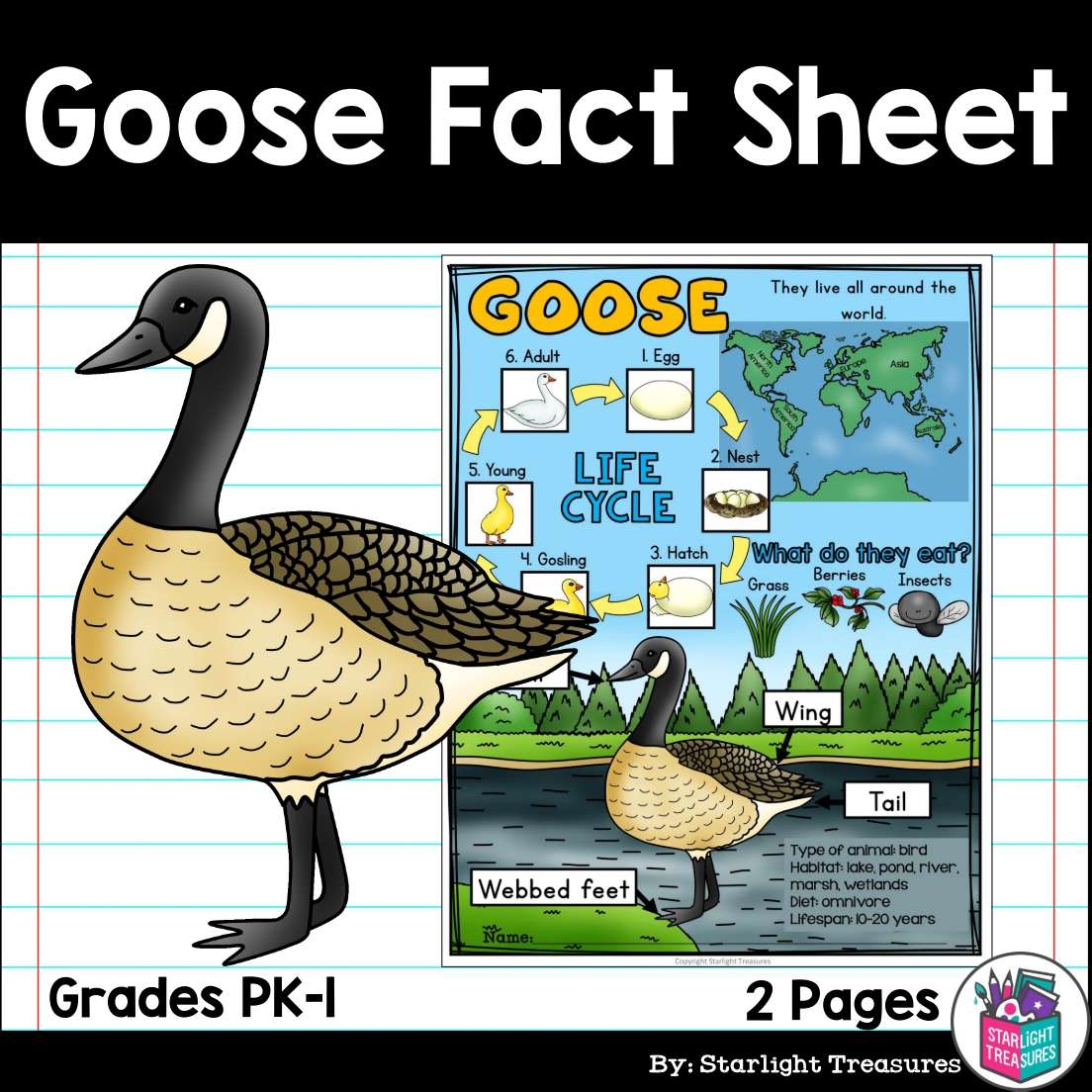 Goose Fact Sheets For Early Readers Animal Study Geese Made By Teachers Goose Fact Sheets For Early Readers Animal Study Geese Made By Teachers