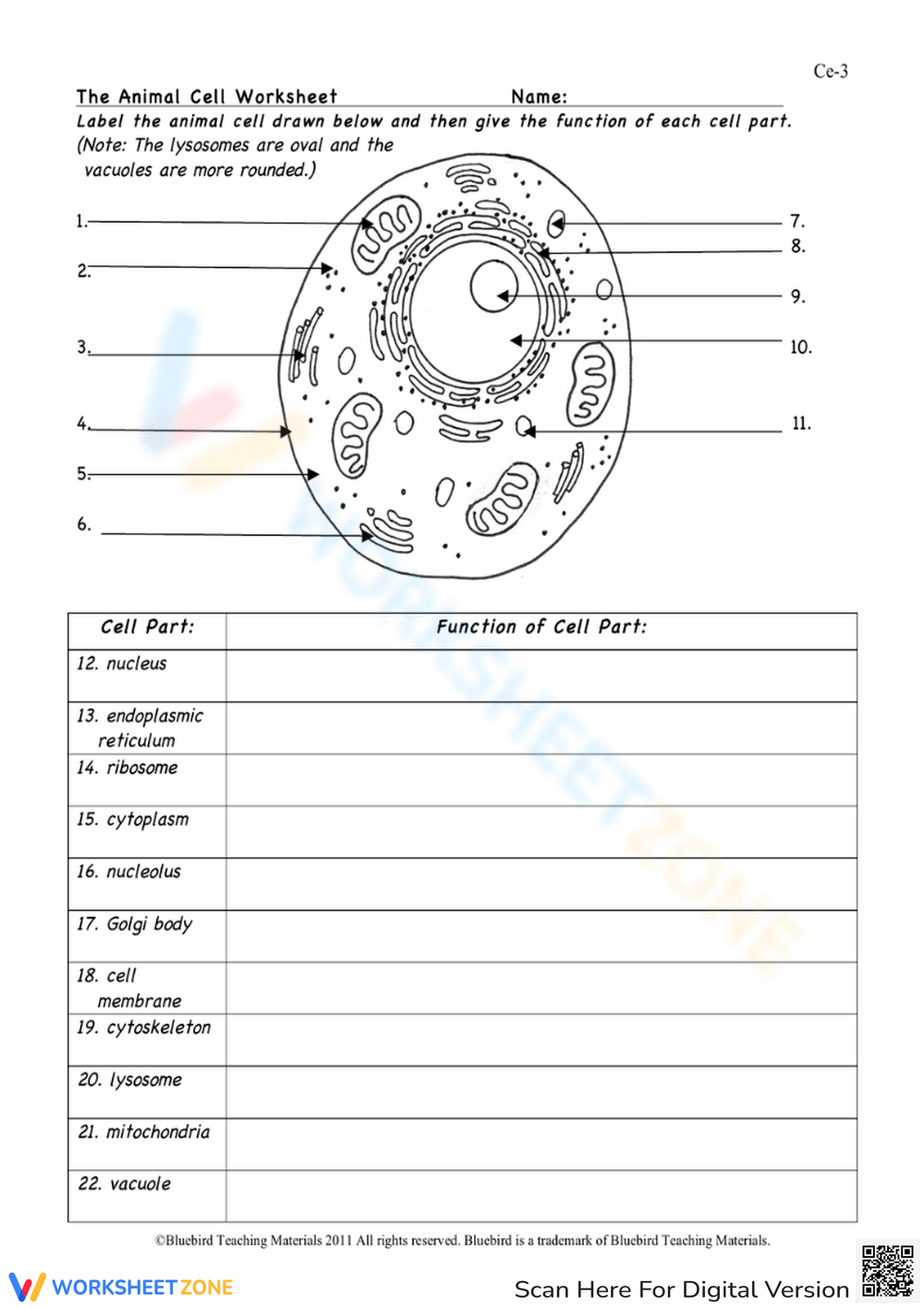 Plants And Animal Cells Worksheets Printables