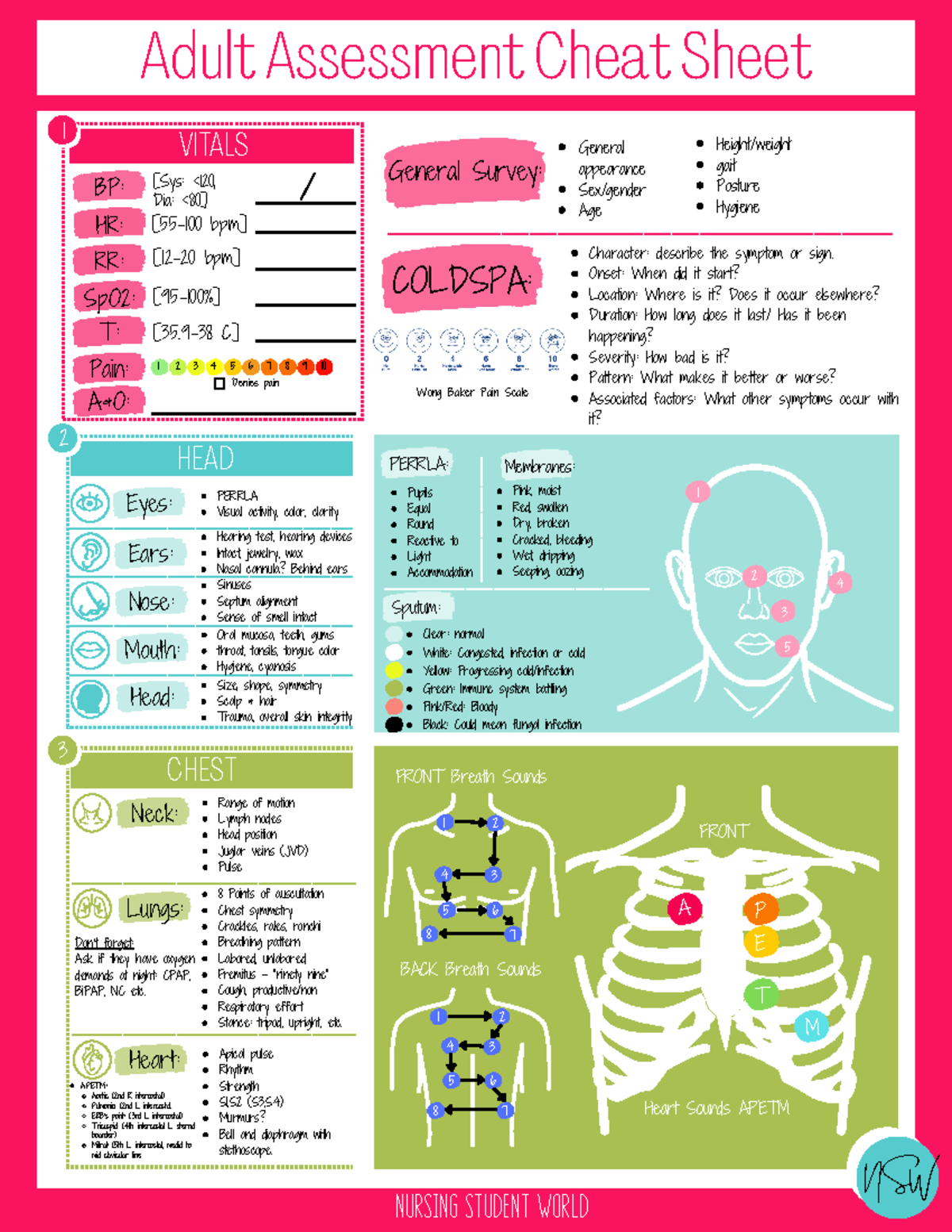 Health Assessment Cheat Sheet For Nursing Students NSW Studocu