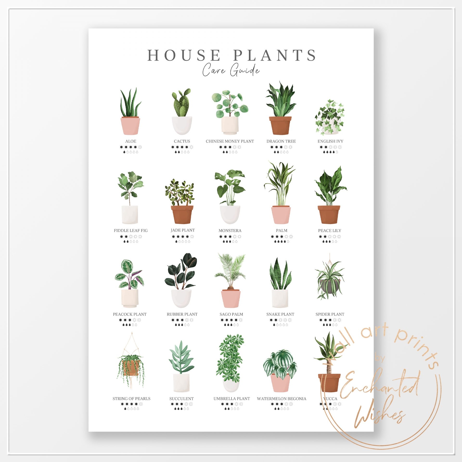 House Plants Care Guide Print Wall Art